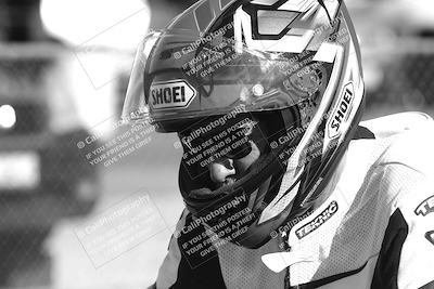 media/Feb-23-2025-2WTD (Sun) [[9604a77d5d]]/1-Around the Pits/